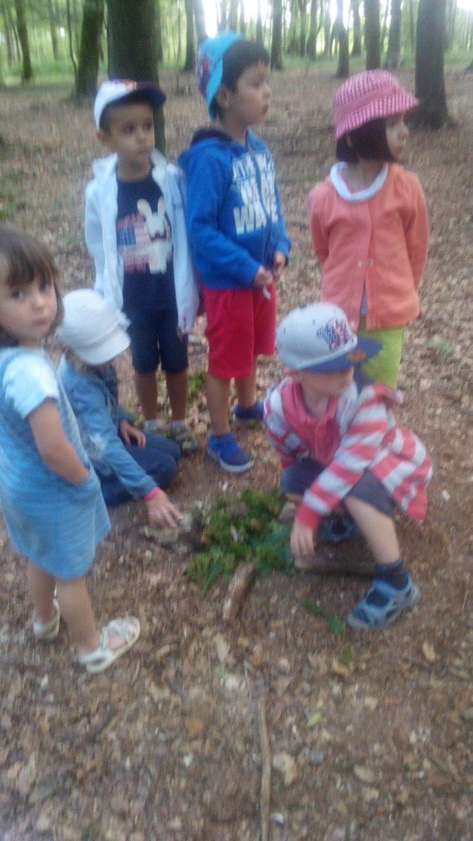 Rencontre foret de ferriere